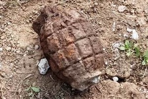 Penampakan granat nanas
